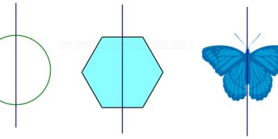trục đối xứng là gì