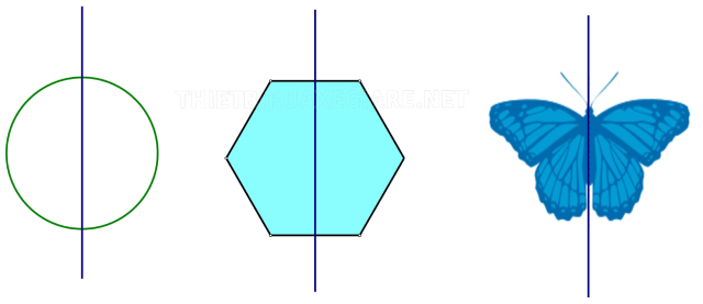 trục đối xứng là gì