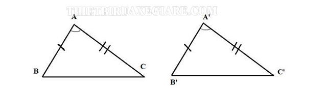 hai tam giác vuông cân luôn đồng dạng - thietbiruaxegiare.com