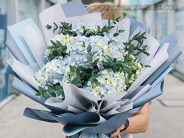 Hoa cẩm tú cầu - Loài hoa mang thông điệp ý nghĩa để cầu hôn